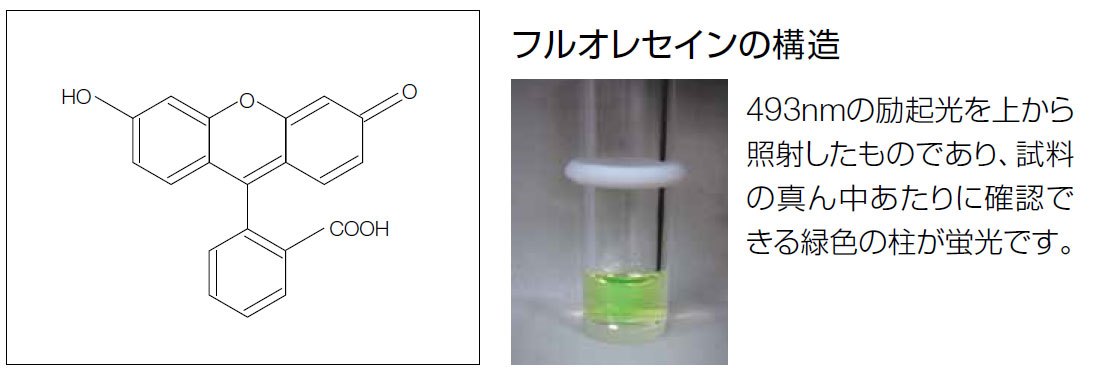 量子效率测量系统 QE-2100