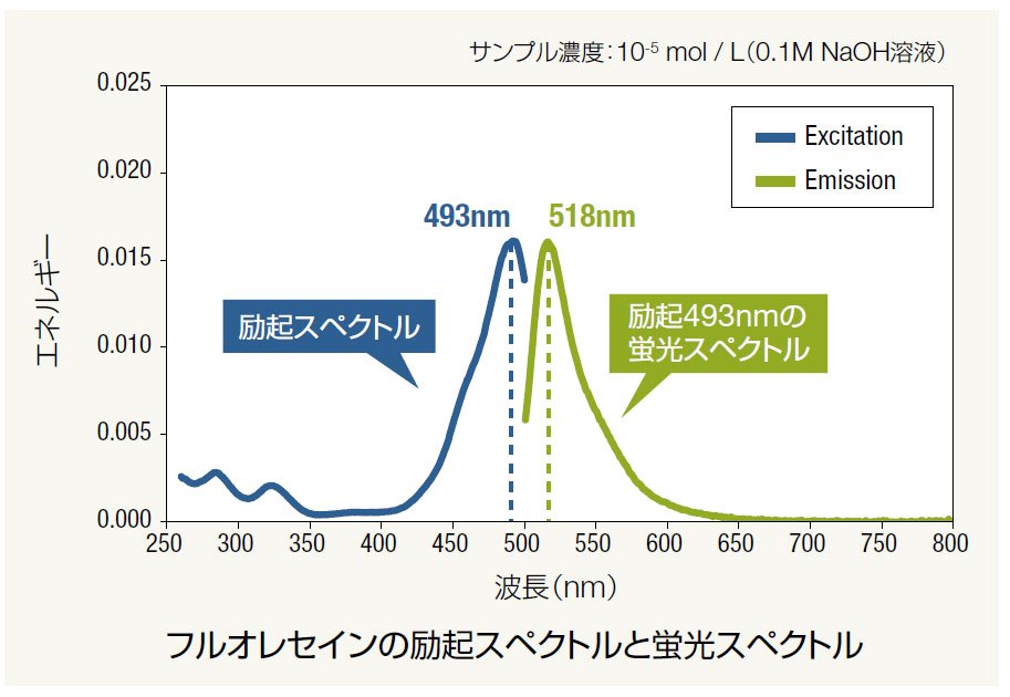 量子效率测量系统 QE-2100