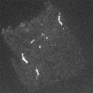 Aries 16高灵敏度 sCMOS 科学相机